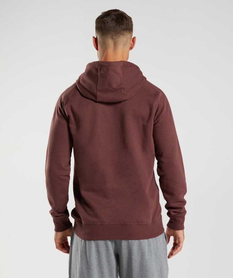 Men's Gymshark Crest Hoodie Brown | CA 8N50AD